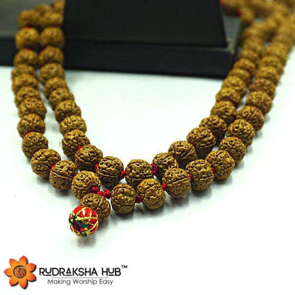 Chikna Rudraksha Mala
