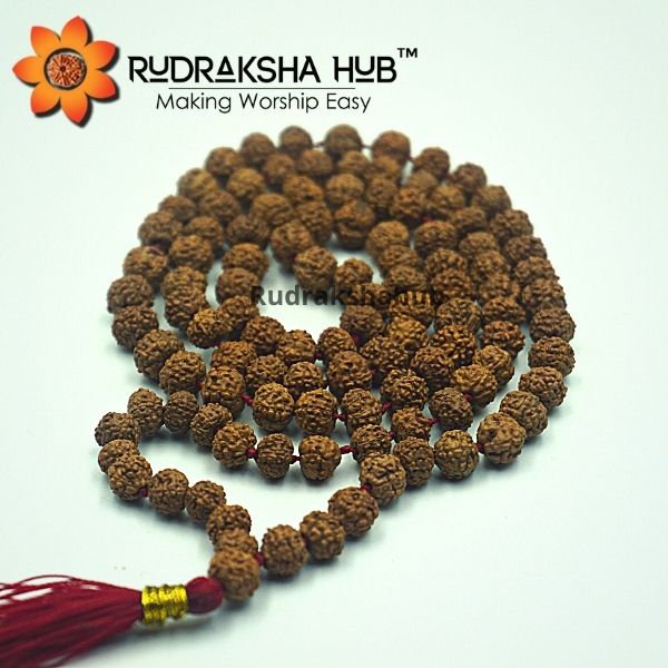 5 Mukhi Rudraksha Mala 5 mm Lab Certified