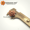 2 Mukhi Rudraksha