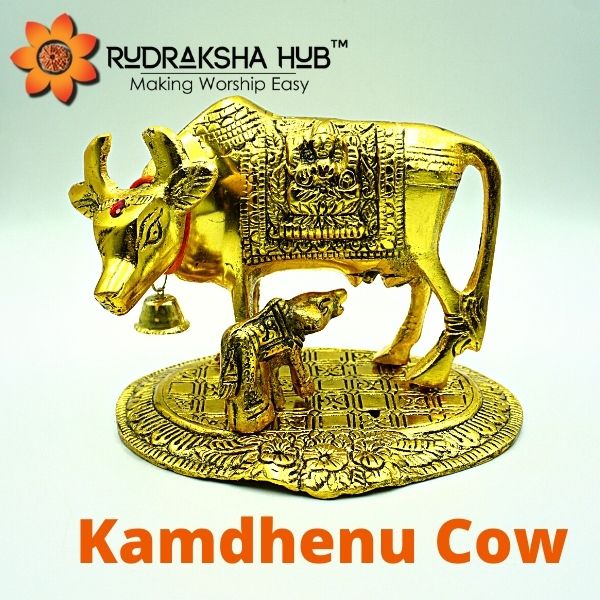 Kamdhenu Cow
