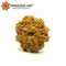 8 Mukhi Rudraksha