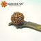 5 Mukhi Rudraksha