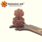 Gauri Shankar Rudraksha