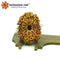 13 Mukhi Rudraksha
