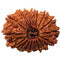 18 Mukhi Rudraksha
