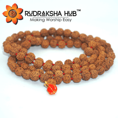 6 Mukhi(Face) Rudraksha Mala