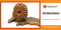 Rudraksha