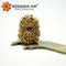 15 Mukhi Rudraksha