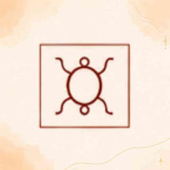 Collection image for: Shatbhisha Nakshatra