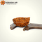 1 Mukhi Rudraksha