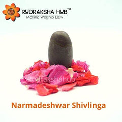 Shiva Idols
