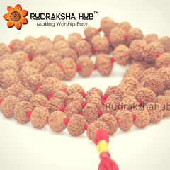 8 Mukhi(Face) Rudraksha Mala