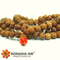 7 Mukhi(Face) Rudraksha Mala