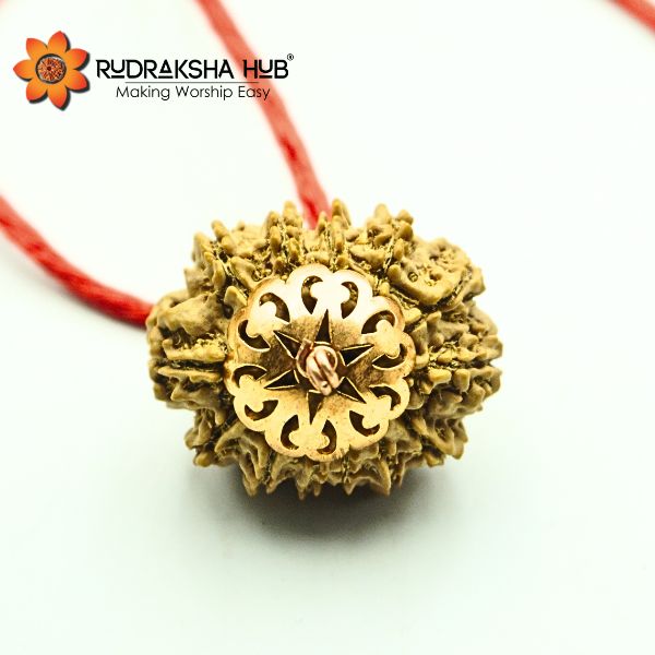 13 Mukhi Rudraksha Pendant Pure Copper