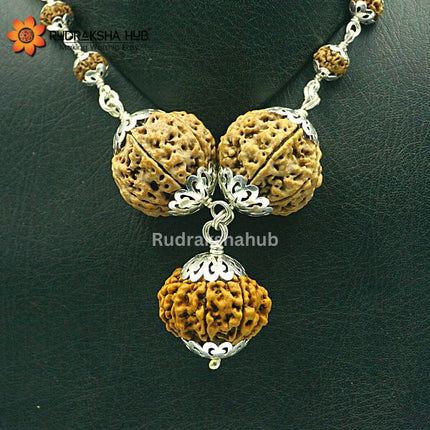 Rudraksha for Materialistic Gains