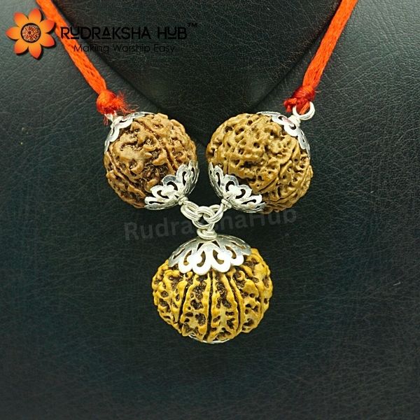 Rudraksha for Career Growth