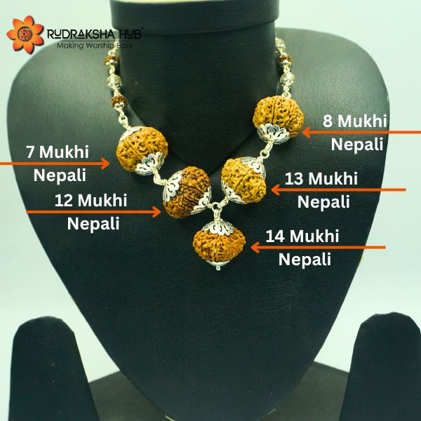 Rudraksha for Evil Eye