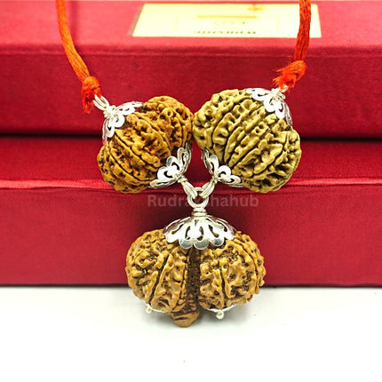 Rudraksha for Better Intimacy