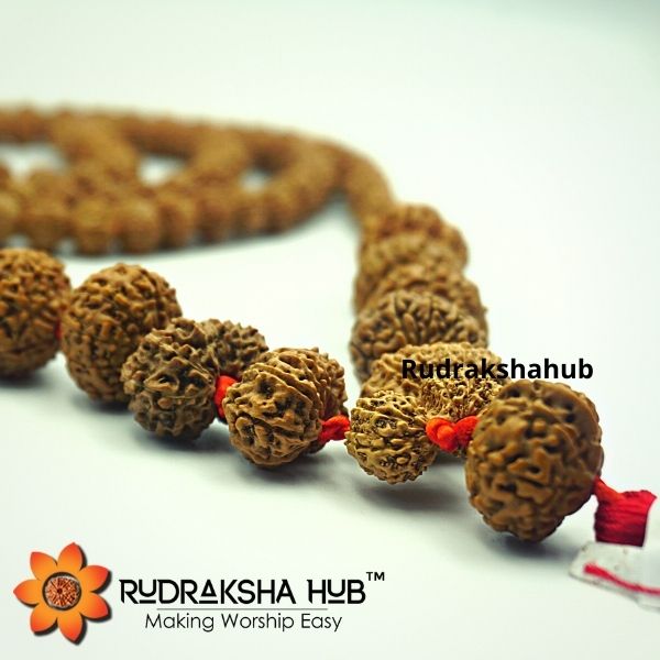 1-14 Mukhi Siddha Mala (Indonesian)