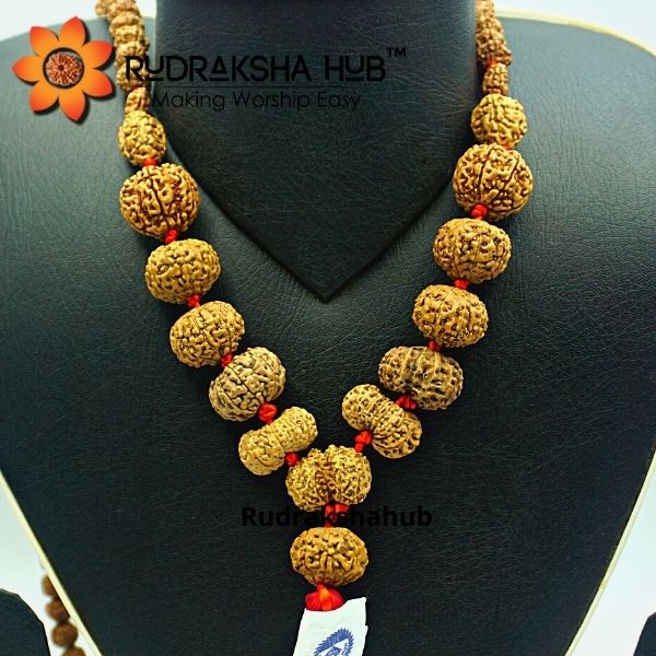 1-14 Mukhi Siddha Mala (Indonesian)