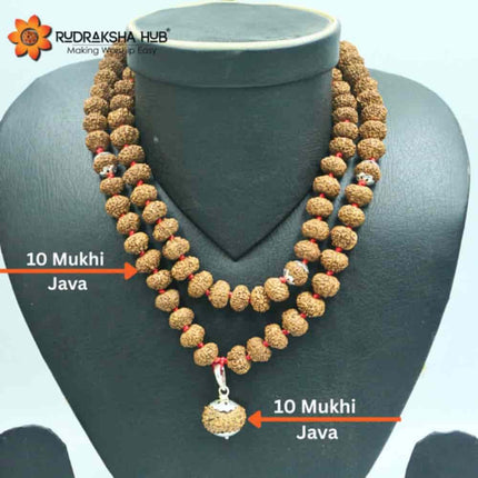 10 Mukhi Rudraksha Gurumala