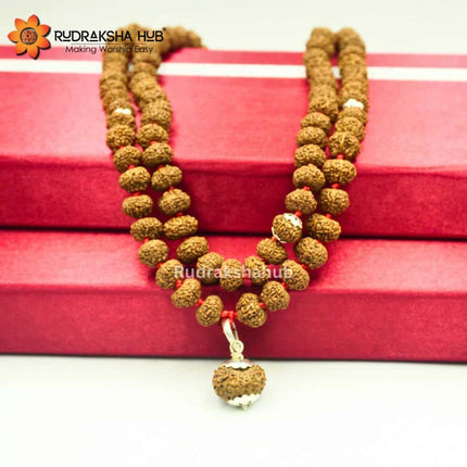 10 Mukhi Rudraksha Gurumala