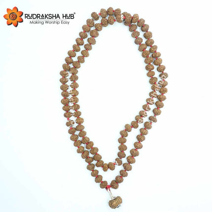 10 Mukhi Rudraksha Gurumala