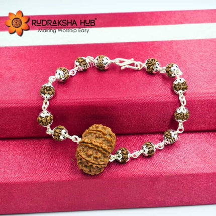 12 Mukhi Rudraksha Pure Silver Bracelet
