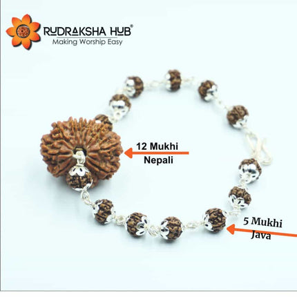 12 Mukhi Rudraksha Pure Silver Bracelet