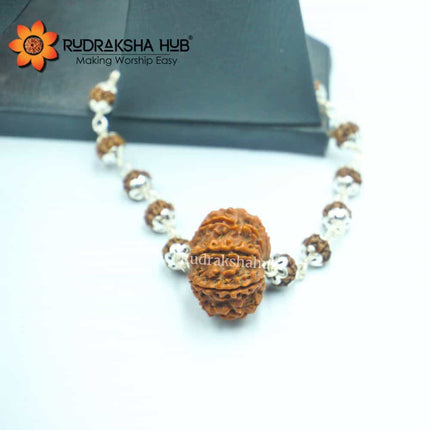12 Mukhi Rudraksha Pure Silver Bracelet