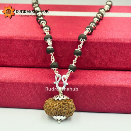 14 Mukhi Rudraksha In Karungali Pure Silver Mala