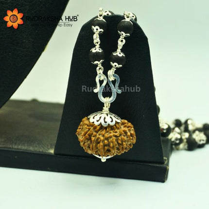 14 Mukhi Rudraksha In Karungali Pure Silver Mala