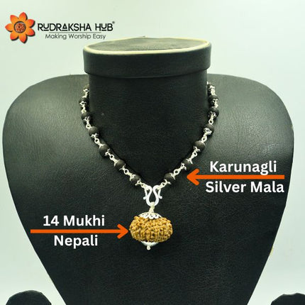 14 Mukhi Rudraksha In Karungali Pure Silver Mala