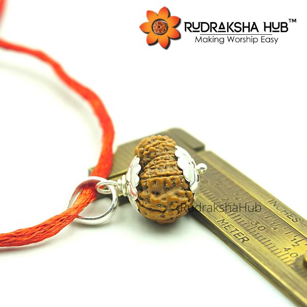 17 Mukhi Rudraksha Pure Silver Pendant (Indonesian)