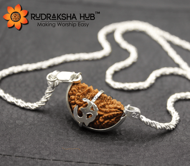1 Mukhi Rudraksha Pure Silver Chain