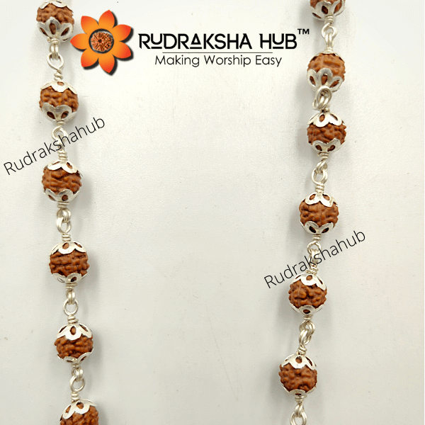 1 Mukhi Rudraksha Pure Silver Mala