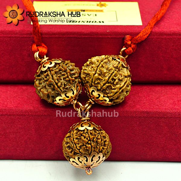 Kaal Sarp Dosh Rudraksha Kawach Copper Capping
