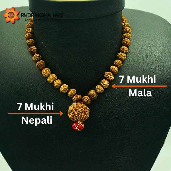 7 Mukhi Rudraksha Guru Mala
