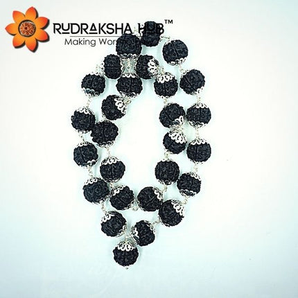 5 मुखी काला रुद्राक्ष कंथा माला (सिल्वर कैप्ड)
