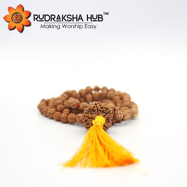 5 Mukhi Rudraksha Gurumala