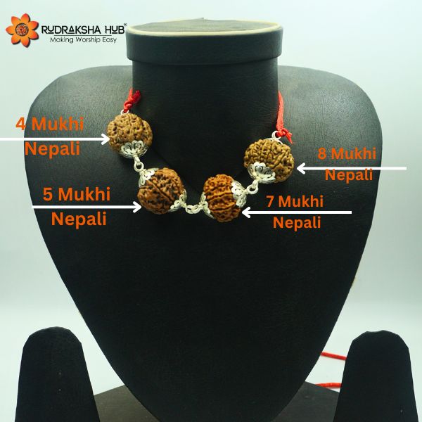 A display of Rudraksha beads with silver capping on a mannequin neck, labeled with '4 Mukhi Nepali', '5 Mukhi Nepali', '7 Mukhi Nepali', and '8 Mukhi Nepali' to indicate the variety and origin of the beads.