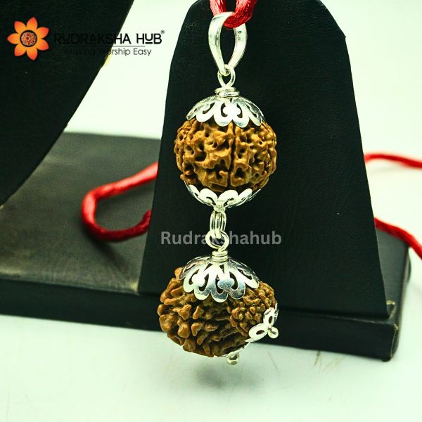 Rudraksha for Healthy Pregnancy
