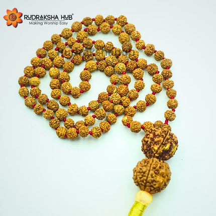 व्यवसायियों के लिए रुद्राक्ष