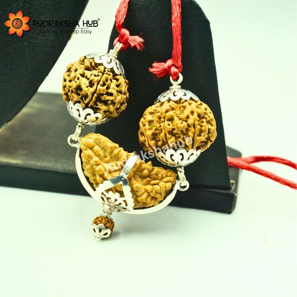 Rudraksha for Managers