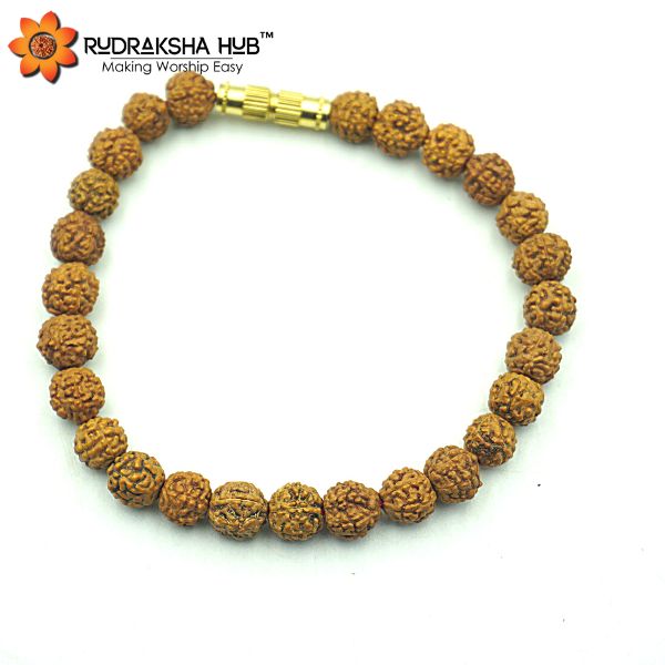 6 Mukhi Rudraksha Bracelet