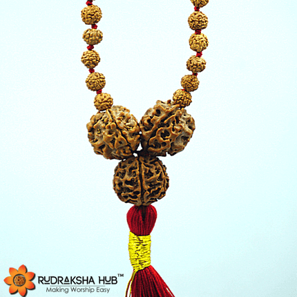 Rudraksha For Good Health & Prosperity