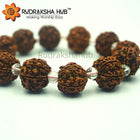 Rudraksha Sphatik Bracelet