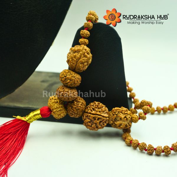 Rudraksha for Stability