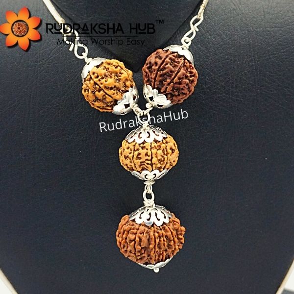 Rudraksha for Happy Married Life