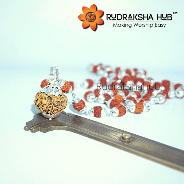 8 Mukhi Rudraksha in Silver Mala